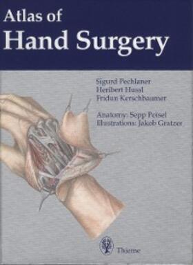 Kerschbaumer / Pechlaner / Hussl |  Atlas of Hand Surgery | eBook | Sack Fachmedien