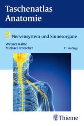 Frotscher / Kahle |  Taschenatlas Anatomie, Band 3: Nervensystem und Sinnesorgane | Buch |  Sack Fachmedien