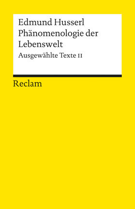 Held / Husserl |  Phänomenologie der Lebenswelt | Buch |  Sack Fachmedien