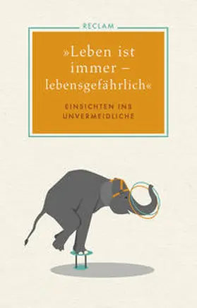 Böhmer |  »Leben ist immer - lebensgefährlich« | Buch |  Sack Fachmedien