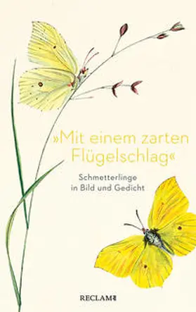 Scholing |  »Mit einem zarten Flügelschlag« | Buch |  Sack Fachmedien