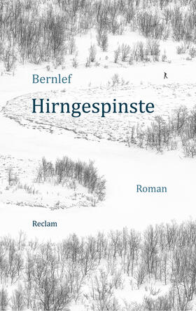 Bernlef |  Hirngespinste | Buch |  Sack Fachmedien