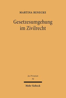 Benecke |  Gesetzesumgehung im Zivilrecht | Buch |  Sack Fachmedien