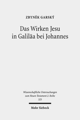 Garský |  Das Wirken Jesu in Galiläa bei Johannes | Buch |  Sack Fachmedien