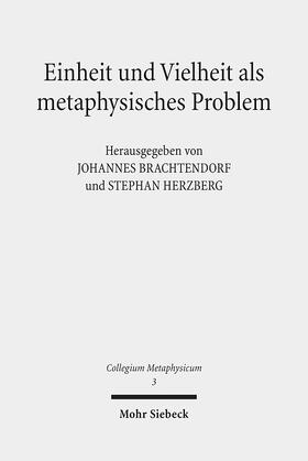 Brachtendorf / Herzberg |  Einheit und Vielheit als metaphysisches Problem | eBook | Sack Fachmedien
