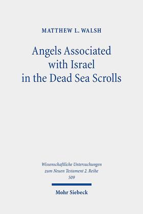 Walsh |  Walsh, M: Angels Associated with Israel in the Dead Sea Scro | Buch |  Sack Fachmedien