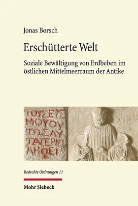 Borsch |  Erschütterte Welt | Buch |  Sack Fachmedien