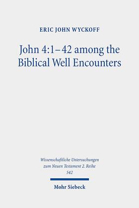 Wyckoff |  John 4:1-42 among the Biblical Well Encounters | Buch |  Sack Fachmedien