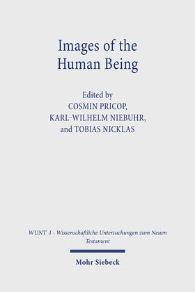 Pricop / Niebuhr / Nicklas |  Images of the Human Being | Buch |  Sack Fachmedien