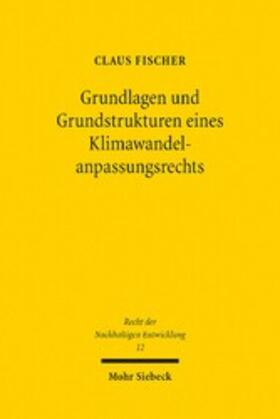 Fischer |  Grundlagen und Grundstrukturen eines Klimawandelanpassungsrechts | eBook | Sack Fachmedien