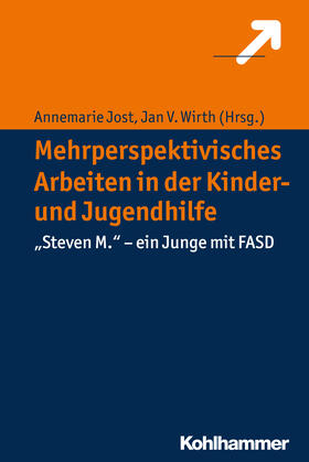 Jost / Wirth |  Mehrperspektivisches Arbeiten in der Kinder- und Jugendhilfe | Buch |  Sack Fachmedien