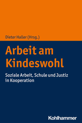 Haller |  Arbeit am Kindeswohl | Buch |  Sack Fachmedien