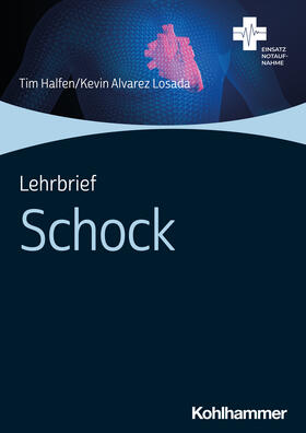 Halfen / Alvarez Losada / Görtzen-Patin |  Lehrbrief Schock | Buch |  Sack Fachmedien