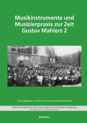 Krones / Kubik |  Musikinstrumente und Musizierpraxis zur Zeit Gustav Mahlers 2 | Buch |  Sack Fachmedien