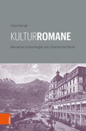 Gerigk |  Kulturromane | Buch |  Sack Fachmedien