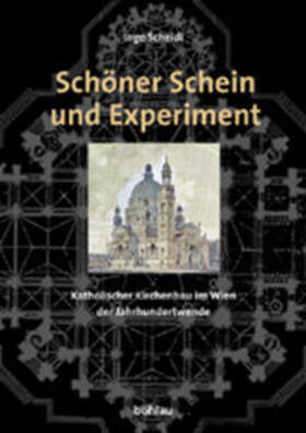 Scheidl |  Schöner Schein und Experiment | Buch |  Sack Fachmedien