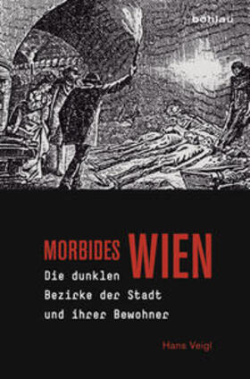 Veigl |  Morbides Wien | Buch |  Sack Fachmedien