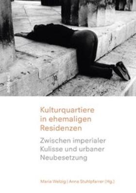 Welzig / Stuhlpfarrer |  Kulturquartiere in ehemaligen Residenzen | Buch |  Sack Fachmedien
