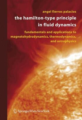 Fierros Palacios |  The Hamilton-Type Principle in Fluid Dynamics | Buch |  Sack Fachmedien