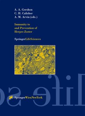 Gershon / Arvin / Calisher |  Immunity to and Prevention of Herpes Zoster | Buch |  Sack Fachmedien