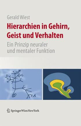 Wiest |  Hierarchien in Gehirn, Geist und Verhalten | Buch |  Sack Fachmedien