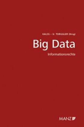 Kalss / Torggler |  Big Data - Informationsrecht 5. Wiener Unternehmensrechtstag | Buch |  Sack Fachmedien