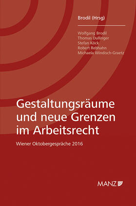 Brodil |  Gestaltungsräume und neue Grenzen im Arbeitsrecht | Buch |  Sack Fachmedien