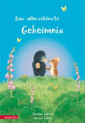 Emmett |  Das allerschönste Geheimnis | Buch |  Sack Fachmedien