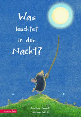 Emmett |  Was leuchtet in der Nacht? | Buch |  Sack Fachmedien