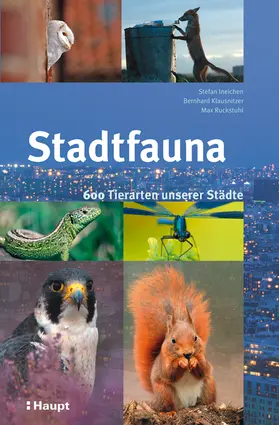 Ineichen / Ruckstuhl / Klausnitzer |  Stadtfauna | Buch |  Sack Fachmedien