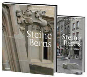 Labhart / Zehnder |  Labhart, T: Steine Berns (2 Bd.) | Buch |  Sack Fachmedien