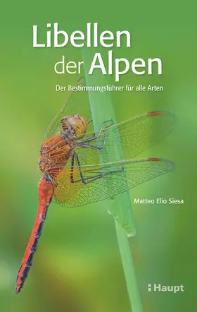 Siesa |  Libellen der Alpen | Buch |  Sack Fachmedien