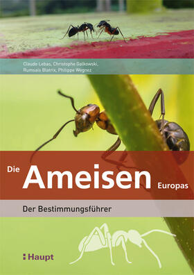 Lebas / Wegnez / Galkowski |  Die Ameisen Europas | Buch |  Sack Fachmedien