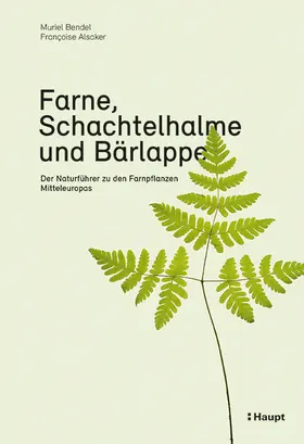 Bendel / Alsaker |  Farne, Schachtelhalme und Bärlappe | Buch |  Sack Fachmedien