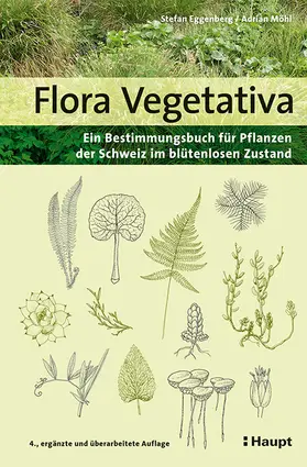 Eggenberg / Möhl |  Flora Vegetativa | Buch |  Sack Fachmedien