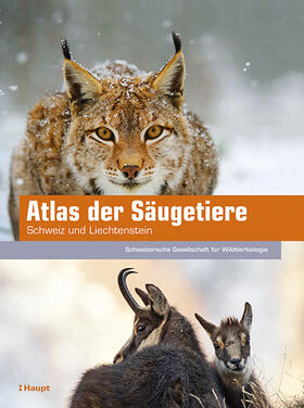 Schweizerische Gesellschaft für Wildtierbiologie (SGW) / Graf / Fischer |  Atlas der Säugetiere - Schweiz und Liechtenstein | Buch |  Sack Fachmedien