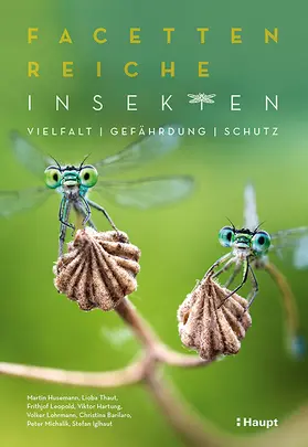 Husemann / Thaut / Leopold | Facettenreiche Insekten | Buch | 978-3-258-08289-9 | sack.de