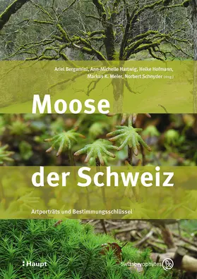 Bergamini / Hartwig / Hofmann |  Moose der Schweiz | Buch |  Sack Fachmedien