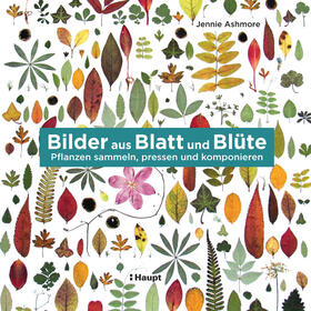 Ashmore |  Bilder aus Blatt und Blüte | Buch |  Sack Fachmedien