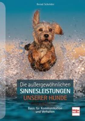 Schröder |  Schröder, B: Außergewöhnliche Sinnesleistungen uns. Hunde | Buch |  Sack Fachmedien