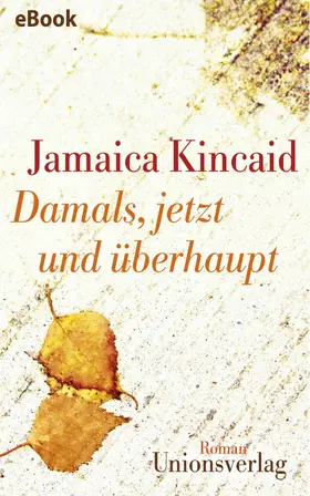 Kincaid |  Damals, jetzt und überhaupt | eBook | Sack Fachmedien