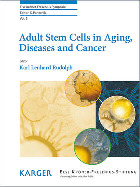 Rudolph |  Adult Stem Cells in Aging, Diseases and Cancer | eBook | Sack Fachmedien