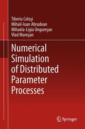 Colosi / Muresan / Abrudean |  Numerical Simulation of Distributed Parameter Processes | Buch |  Sack Fachmedien