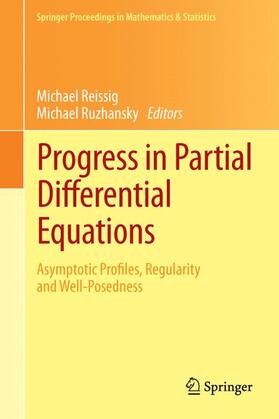 Ruzhansky / Reissig |  Progress in Partial Differential Equations | Buch |  Sack Fachmedien