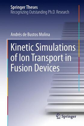 de Bustos Molina |  Kinetic Simulations of Ion Transport in Fusion Devices | Buch |  Sack Fachmedien