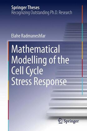 Radmaneshfar |  Mathematical Modelling of the Cell Cycle Stress Response | Buch |  Sack Fachmedien