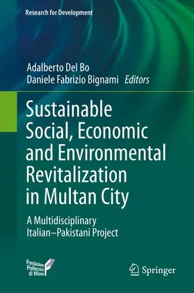 Bignami / Del Bo |  Sustainable Social, Economic and Environmental Revitalization in Multan City | Buch |  Sack Fachmedien