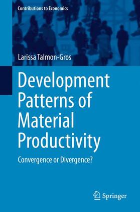 Talmon-Gros |  Development Patterns of Material Productivity | Buch |  Sack Fachmedien