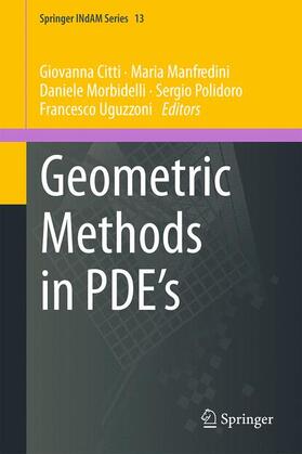Citti / Manfredini / Uguzzoni |  Geometric Methods in PDE¿s | Buch |  Sack Fachmedien