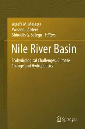 Melesse / Abtew / Setegn |  Nile River Basin | eBook | Sack Fachmedien